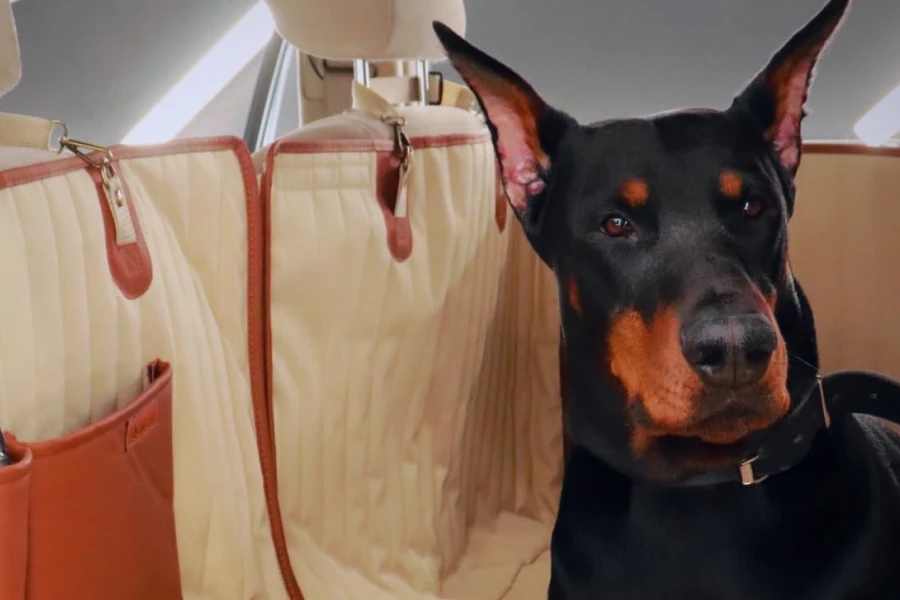 back seat extender for dogs