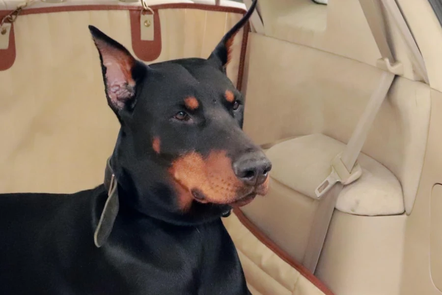 back seat extender for dogs