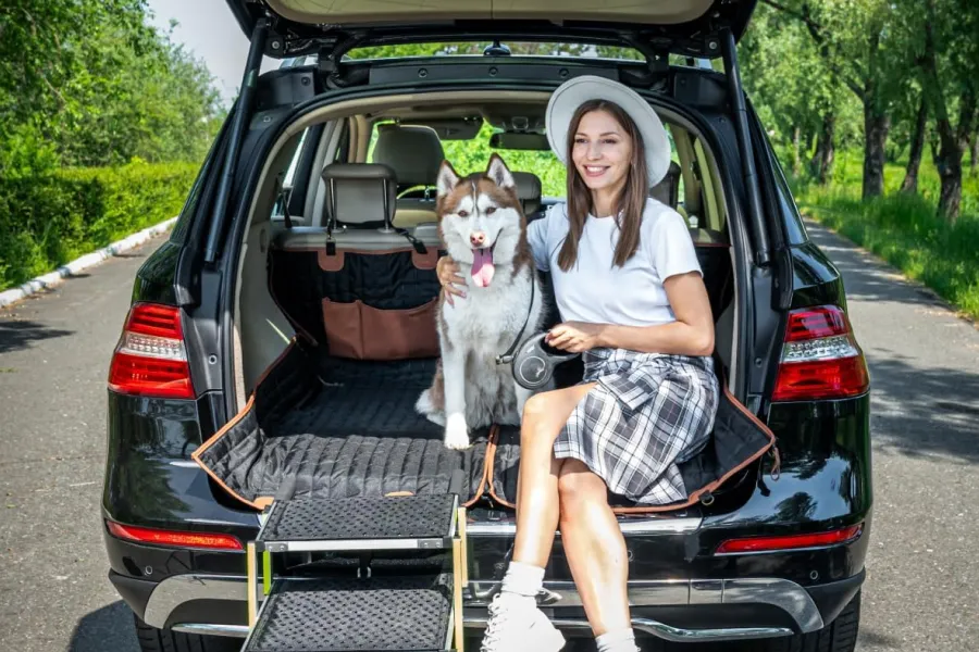 car ramp for large dogs