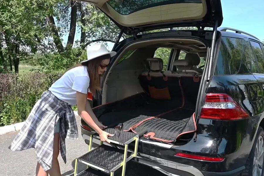 car ramp for large dogs