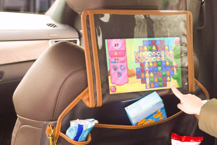 Back of Seat Organizer for Kids