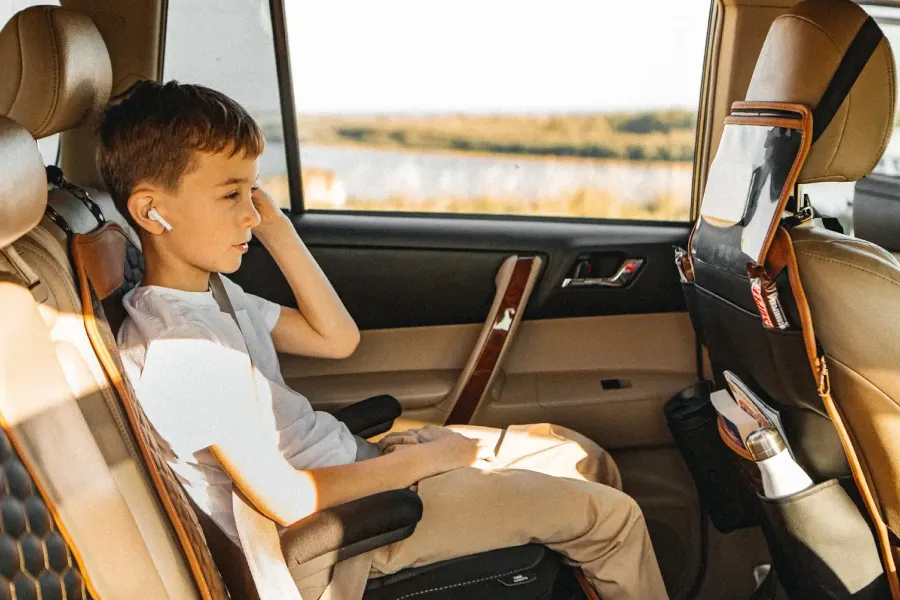 Back of Seat Organizer for Kids