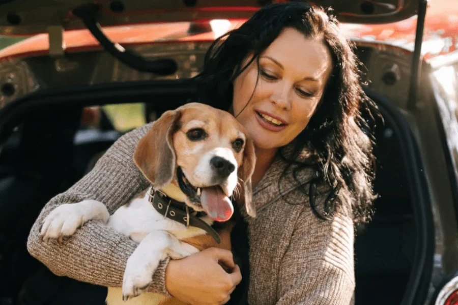 Dog Seat Belt for Car