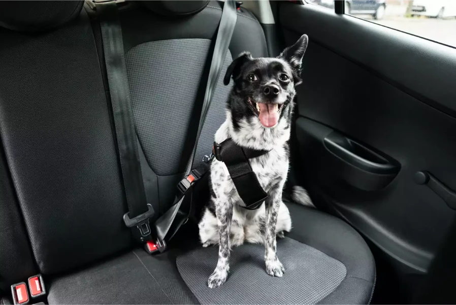 Dog Seat Belt for Car
