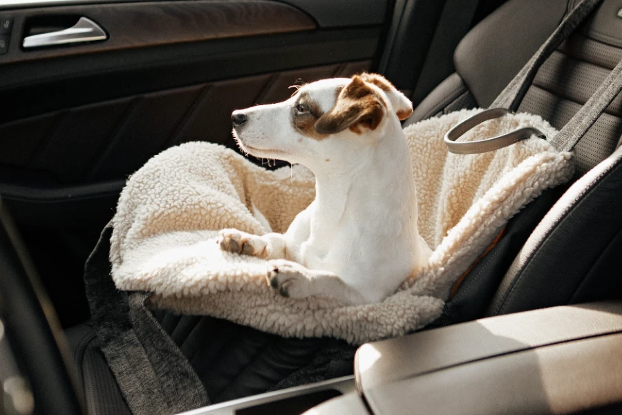 Portable Pet Carrier for Car Trips