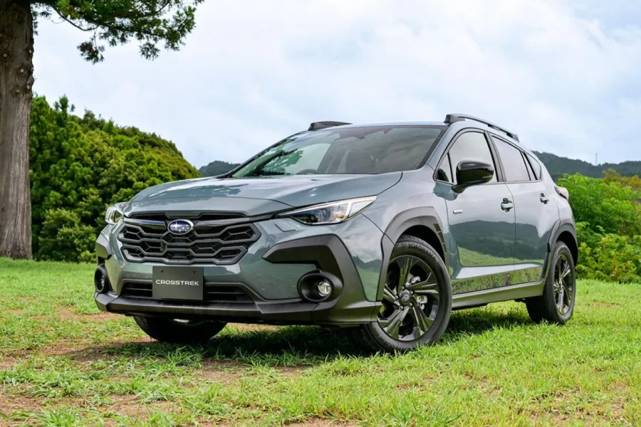 Custom Floor Mats for Cars